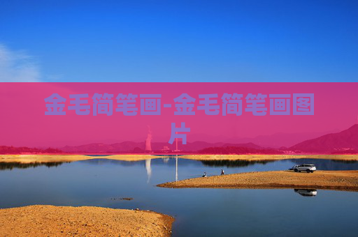 金毛简笔画-金毛简笔画图片