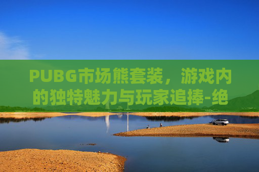 PUBG市场熊套装，游戏内的独特魅力与玩家追捧-绝地求生白熊套装