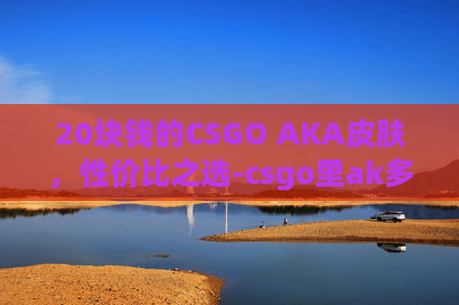 20块钱的CSGO AKA皮肤，性价比之选-csgo里ak多少钱一支