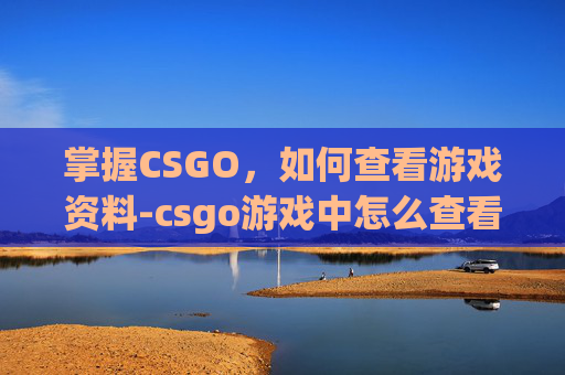 掌握CSGO,如何查看游戏资料-csgo游戏中怎么查看玩家资料 掌握CSGO,如何查看游戏资料-csgo游戏中怎么查看玩家资料