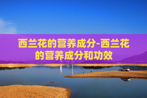 西兰花的营养成分-西兰花的营养成分和功效 西兰花的营养成分-西兰花的营养成分和功效