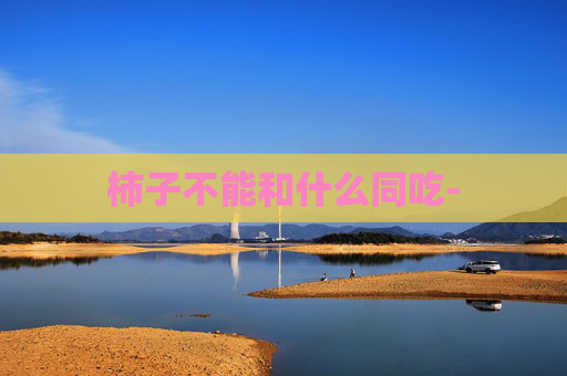 柿子不能和什么同吃-