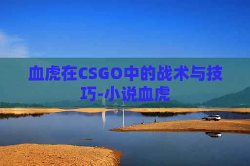 血虎在CSGO中的战术与技巧-小说血虎