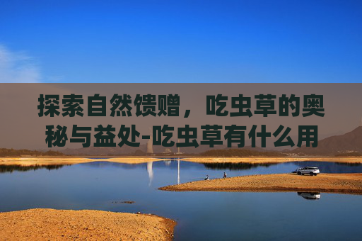 探索自然馈赠，吃虫草的奥秘与益处-吃虫草有什么用