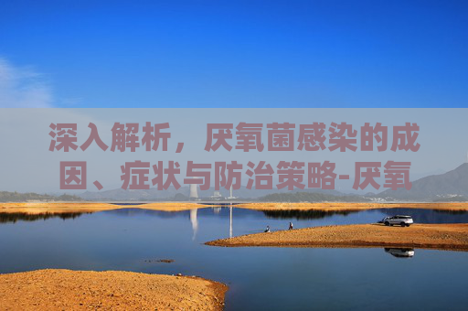 深入解析，厌氧菌感染的成因、症状与防治策略-厌氧菌感染是怎么回事