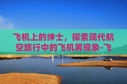 飞机上的绅士，探索现代航空旅行中的飞机男现象-飞机男生发型