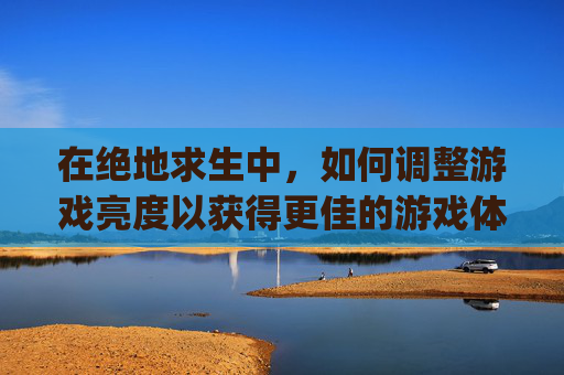 在绝地求生中，如何调整游戏亮度以获得更佳的游戏体验？-pubg亮度暗怎么办