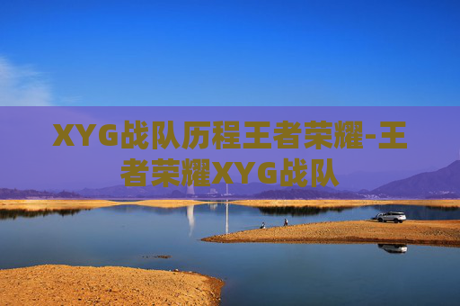XYG战队历程王者荣耀-王者荣耀XYG战队