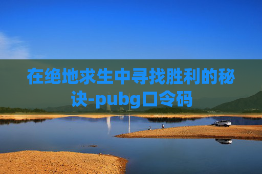 在绝地求生中寻找胜利的秘诀-pubg口令码