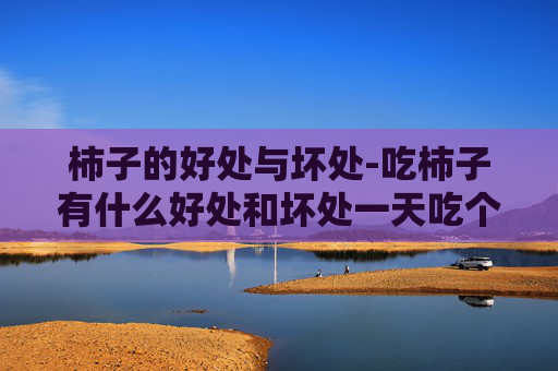柿子的好处与坏处-吃柿子有什么好处和坏处一天吃个