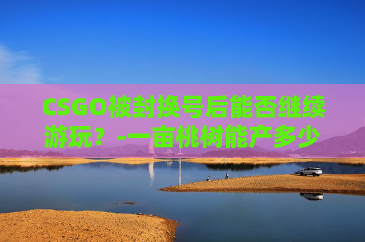 CSGO被封换号后能否继续游玩？-一亩桃树能产多少桃胶