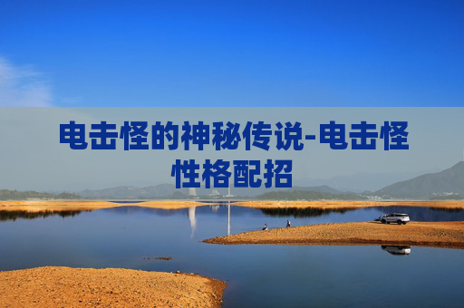 电击怪的神秘传说-电击怪性格配招