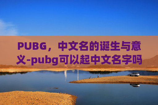 PUBG，中文名的诞生与意义-pubg可以起中文名字吗