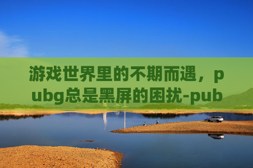 游戏世界里的不期而遇，pubg总是黑屏的困扰-pubg突然黑屏