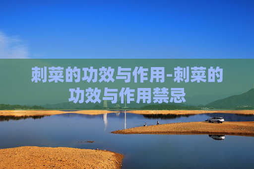 刺菜的功效与作用-刺菜的功效与作用禁忌