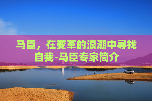 马臣，在变革的浪潮中寻找自我-马臣专家简介