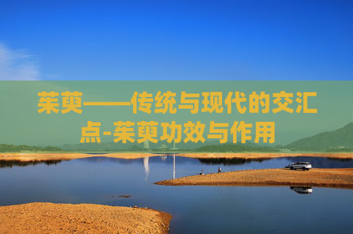 茱萸——传统与现代的交汇点-茱萸功效与作用