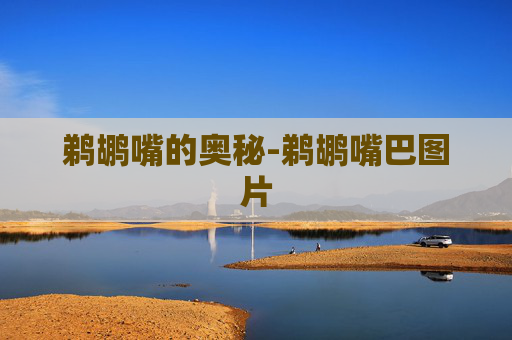鹈鹕嘴的奥秘-鹈鹕嘴巴图片