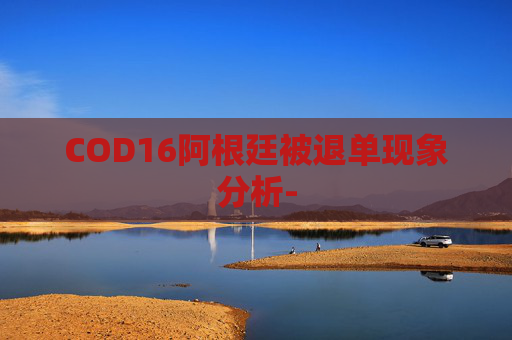 COD16阿根廷被退单现象分析-