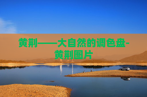黄荆——大自然的调色盘-黄荆图片