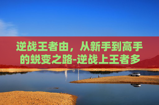 逆战王者由，从新手到高手的蜕变之路-逆战上王者多少钱