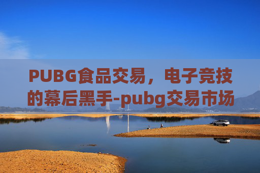 PUBG食品交易，电子竞技的幕后黑手-pubg交易市场有哪些