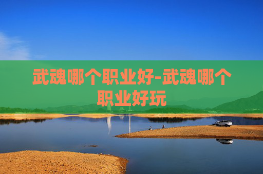 武魂哪个职业好-武魂哪个职业好玩