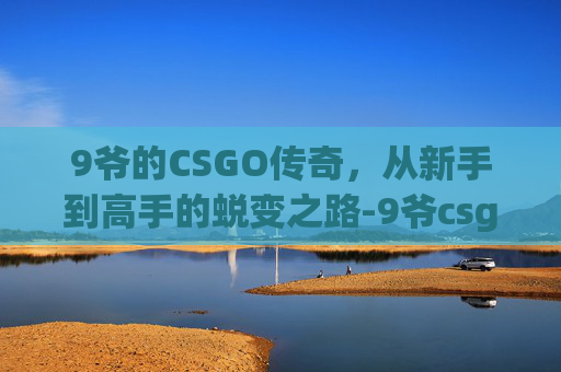 9爷的CSGO传奇，从新手到高手的蜕变之路-9爷csgo