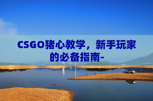 CSGO猪心教学,新手玩家的必备指南- CSGO猪心教学,新手玩家的必备指南-