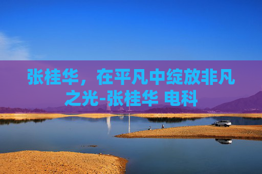 张桂华，在平凡中绽放非凡之光-张桂华 电科