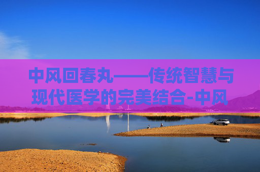 中风回春丸——传统智慧与现代医学的完美结合-中风回春丸中药配方