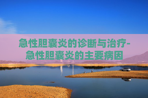 急性胆囊炎的诊断与治疗-急性胆囊炎的主要病因