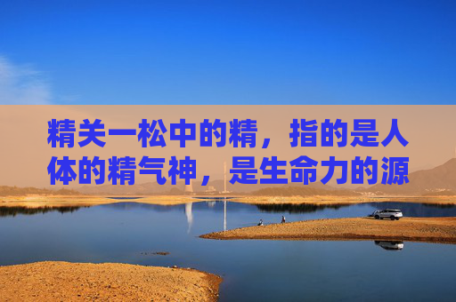 精关一松中的精，指的是人体的精气神，是生命力的源泉。而关，则是指人体内外环境之间的平衡与协调。当我们说精关一松，意味着要努力维护这种平衡，让身体的各个部分都能得到充分的营养和能量，从而保持健康和活力。-精关松动该怎样补救