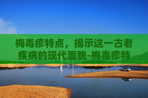 梅毒疹特点，揭示这一古老疾病的现代面貌-梅毒疹特点管文辉