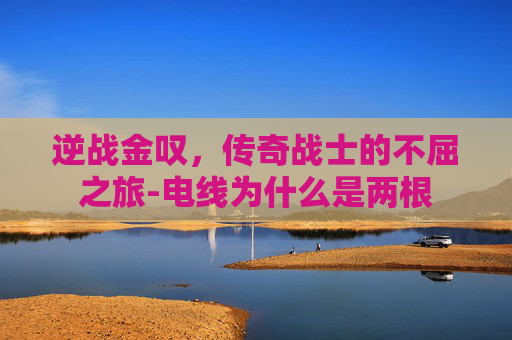 逆战金叹，传奇战士的不屈之旅-电线为什么是两根