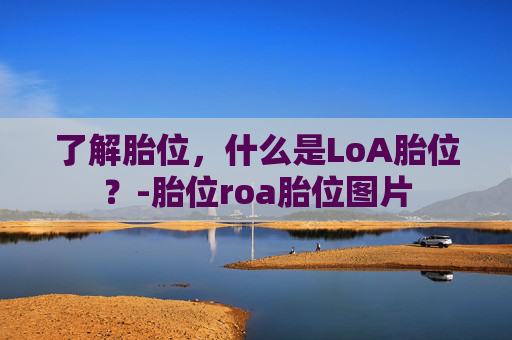 了解胎位，什么是LoA胎位？-胎位roa胎位图片