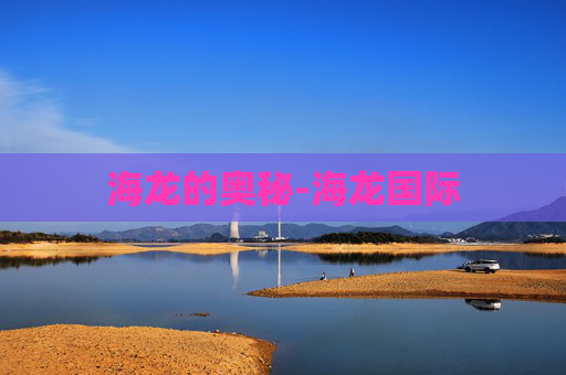 海龙的奥秘-海龙国际