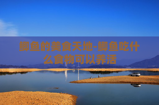 鲫鱼的美食天地-鲫鱼吃什么食物可以养活