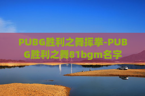 PUBG胜利之舞挥拳-PUBG胜利之舞81bgm名字