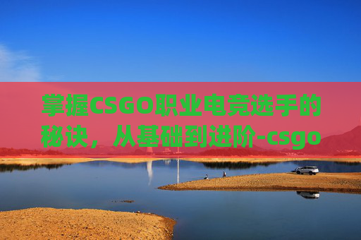 掌握CSGO职业电竞选手的秘诀，从基础到进阶-csgo职业电竞选手教程视频