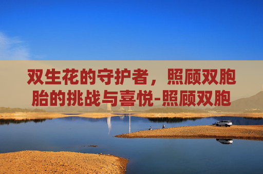 双生花的守护者，照顾双胞胎的挑战与喜悦-照顾双胞胎小宝贝游戏