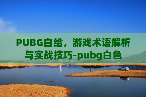 PUBG白给，游戏术语解析与实战技巧-pubg白色