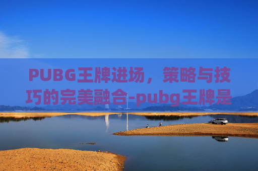 PUBG王牌进场，策略与技巧的完美融合-pubg王牌是什么段位