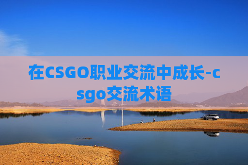 在CSGO职业交流中成长-csgo交流术语