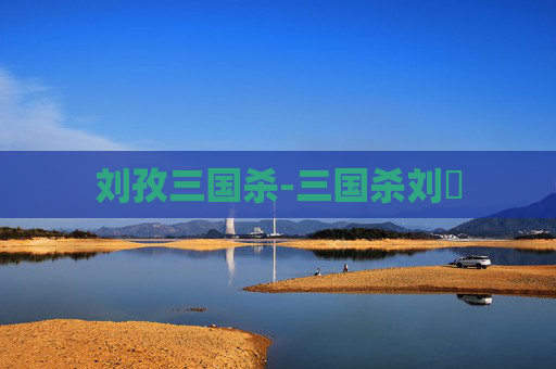 刘孜三国杀-三国杀刘刕