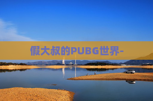 假大叔的PUBG世界-