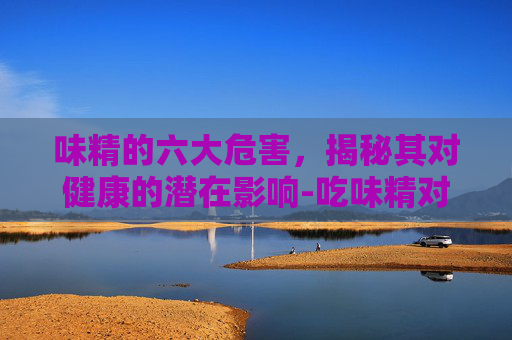 味精的六大危害，揭秘其对健康的潜在影响-吃味精对人的6大危害图片
