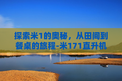 探索米1的奥秘,从田间到餐桌的旅程-米171直升机 探索米1的奥秘,从田间到餐桌的旅程-米171直升机
