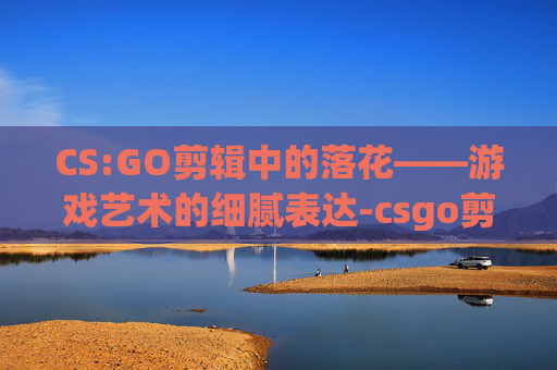 CS:GO剪辑中的落花——游戏艺术的细腻表达-csgo剪辑bgm