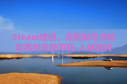 Steam途径，探索数字游戏世界的无限可能-人体结构几何体速写